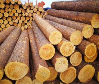 防腐木选购需要注意的事项  　　